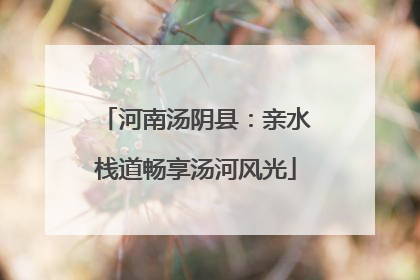 河南汤阴县：亲水栈道畅享汤河风光