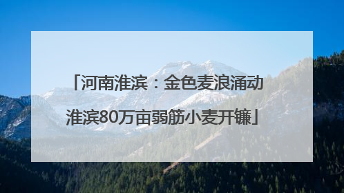 河南淮滨：金色麦浪涌动 淮滨80万亩弱筋小麦开镰