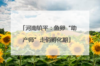 河南镇平：鱼卵“助产师”走俏孵化期