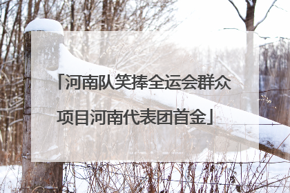 河南队笑捧全运会群众项目河南代表团首金