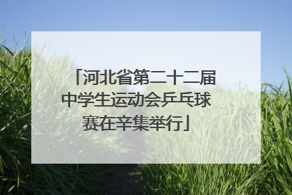 河北省第二十二届中学生运动会乒乓球赛在辛集举行
