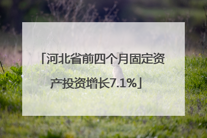 河北省前四个月固定资产投资增长7.1%
