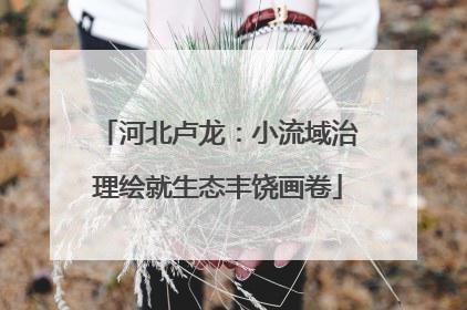 河北卢龙：小流域治理绘就生态丰饶画卷