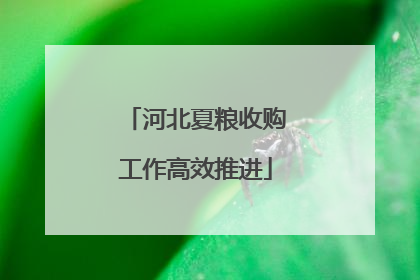 河北夏粮收购工作高效推进