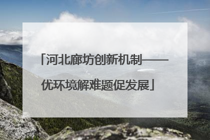 河北廊坊创新机制——优环境解难题促发展