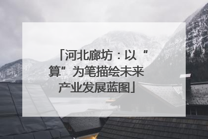 河北廊坊：以“算”为笔描绘未来产业发展蓝图