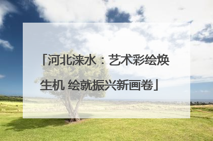 河北涞水：艺术彩绘焕生机 绘就振兴新画卷