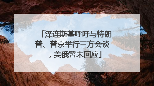 泽连斯基呼吁与特朗普、普京举行三方会谈，美俄暂未回应