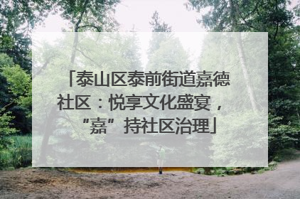 泰山区泰前街道嘉德社区：悦享文化盛宴，“嘉”持社区治理