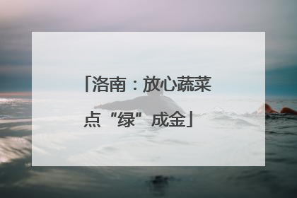 洛南：放心蔬菜点“绿”成金
