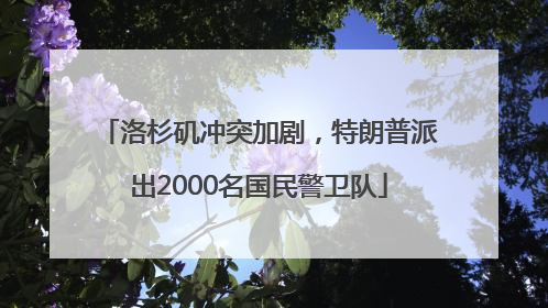 洛杉矶冲突加剧，特朗普派出2000名国民警卫队