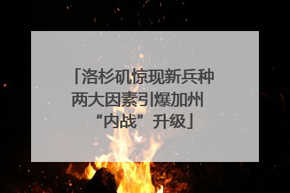 洛杉矶惊现新兵种 两大因素引爆加州“内战”升级