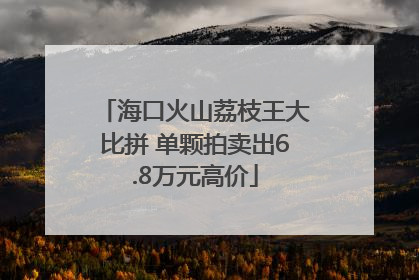 海口火山荔枝王大比拼 单颗拍卖出6.8万元高价