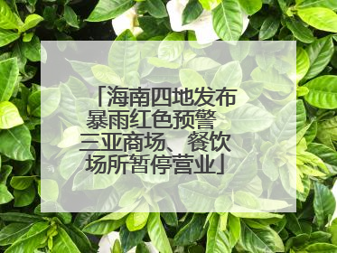 海南四地发布暴雨红色预警 三亚商场、餐饮场所暂停营业