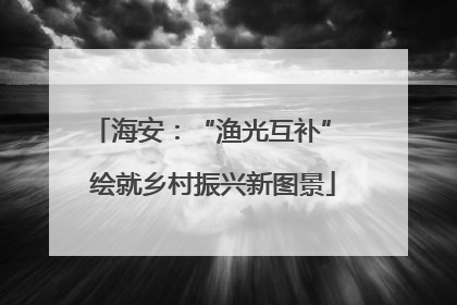 海安：“渔光互补” 绘就乡村振兴新图景