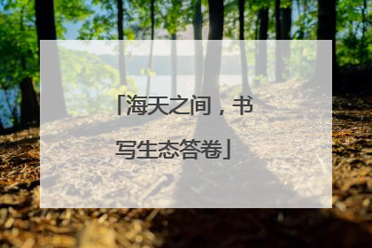 海天之间，书写生态答卷
