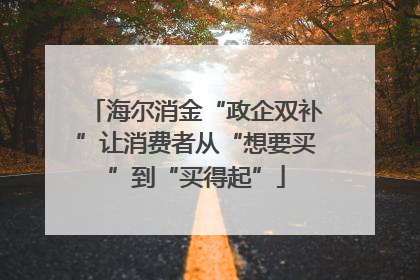 海尔消金“政企双补”让消费者从“想要买”到“买得起”