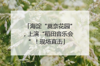 海淀“莫奈花园”，上演“稻田音乐会”！现场直击