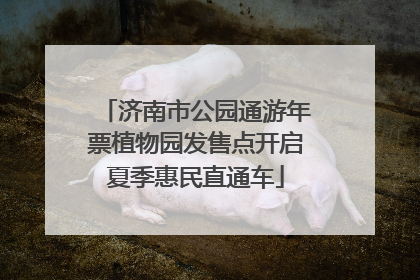 济南市公园通游年票植物园发售点开启夏季惠民直通车
