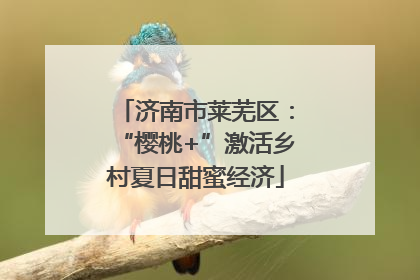 济南市莱芜区：“樱桃+”激活乡村夏日甜蜜经济