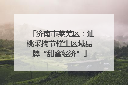 济南市莱芜区：油桃采摘节催生区域品牌“甜蜜经济”