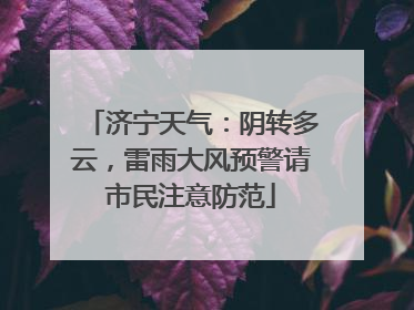 济宁天气：阴转多云，雷雨大风预警请市民注意防范