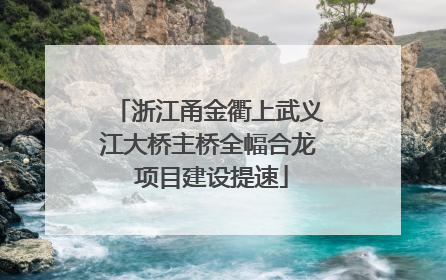 浙江甬金衢上武义江大桥主桥全幅合龙 项目建设提速