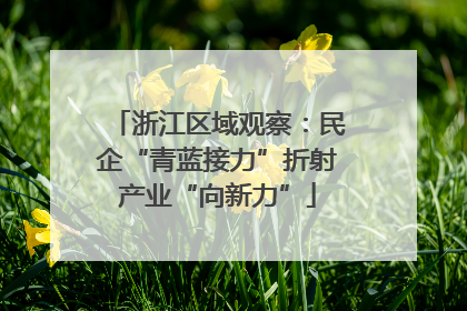 浙江区域观察：民企“青蓝接力”折射产业“向新力”