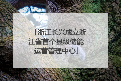 浙江长兴成立浙江省首个县级储能运营管理中心