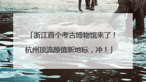 浙江首个考古博物馆来了！杭州顶流颜值新地标，冲！