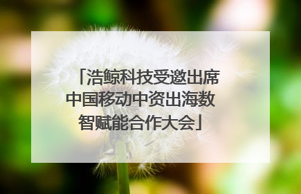 浩鲸科技受邀出席中国移动中资出海数智赋能合作大会