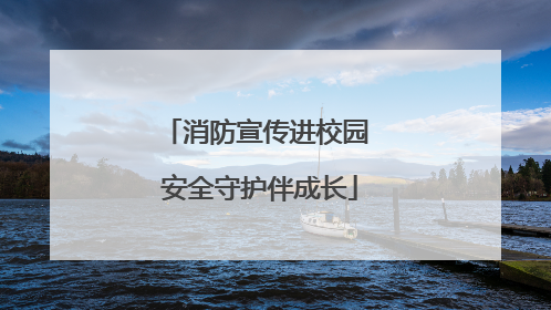 消防宣传进校园 安全守护伴成长