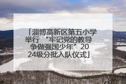 淄博高新区第五小学举行 “牢记党的教导 争做强国少年”2024级分批入队仪式