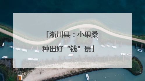 淅川县：小果桑种出好“钱”景