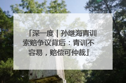 深一度｜孙继海青训索赔争议背后：青训不容易，赔偿可仲裁