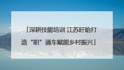 深耕技能培训 江苏盱眙打造“职”通车赋能乡村振兴
