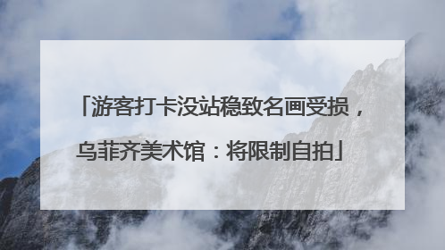 游客打卡没站稳致名画受损，乌菲齐美术馆：将限制自拍