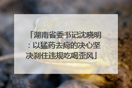 湖南省委书记沈晓明：以猛药去疴的决心坚决刹住违规吃喝歪风