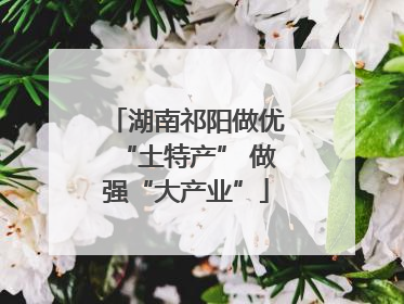 湖南祁阳做优“土特产” 做强“大产业”