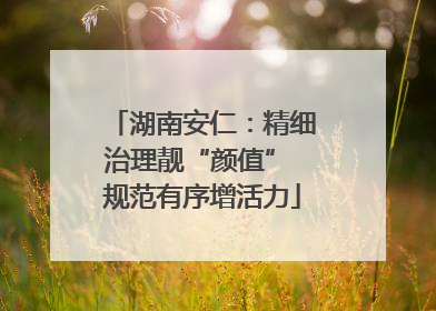 湖南安仁：精细治理靓“颜值” 规范有序增活力