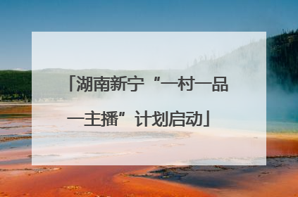 湖南新宁“一村一品一主播”计划启动
