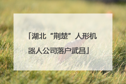 湖北“荆楚”人形机器人公司落户武昌
