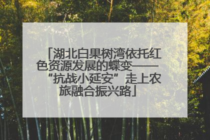 湖北白果树湾依托红色资源发展的蝶变——“抗战小延安”走上农旅融合振兴路