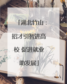 湖北竹山：招才引智进高校 促进就业助发展