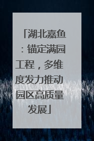 湖北嘉鱼：锚定满园工程，多维度发力推动园区高质量发展