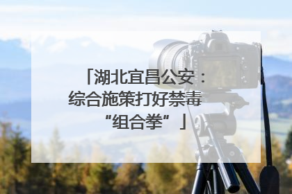 湖北宜昌公安：综合施策打好禁毒“组合拳”