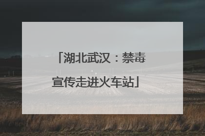 湖北武汉：禁毒宣传走进火车站