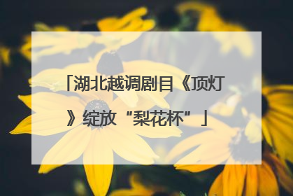 湖北越调剧目《顶灯》绽放“梨花杯”
