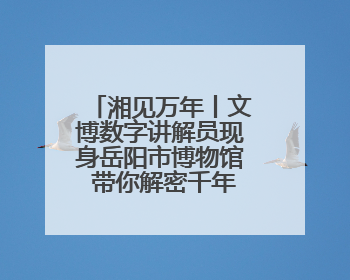 湘见万年丨文博数字讲解员现身岳阳市博物馆 带你解密千年巴陵往事