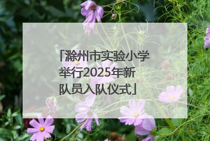 滁州市实验小学举行2025年新队员入队仪式